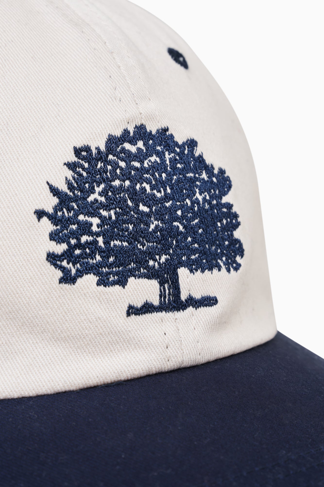 Part Of The Family Cap - Artic Wolf