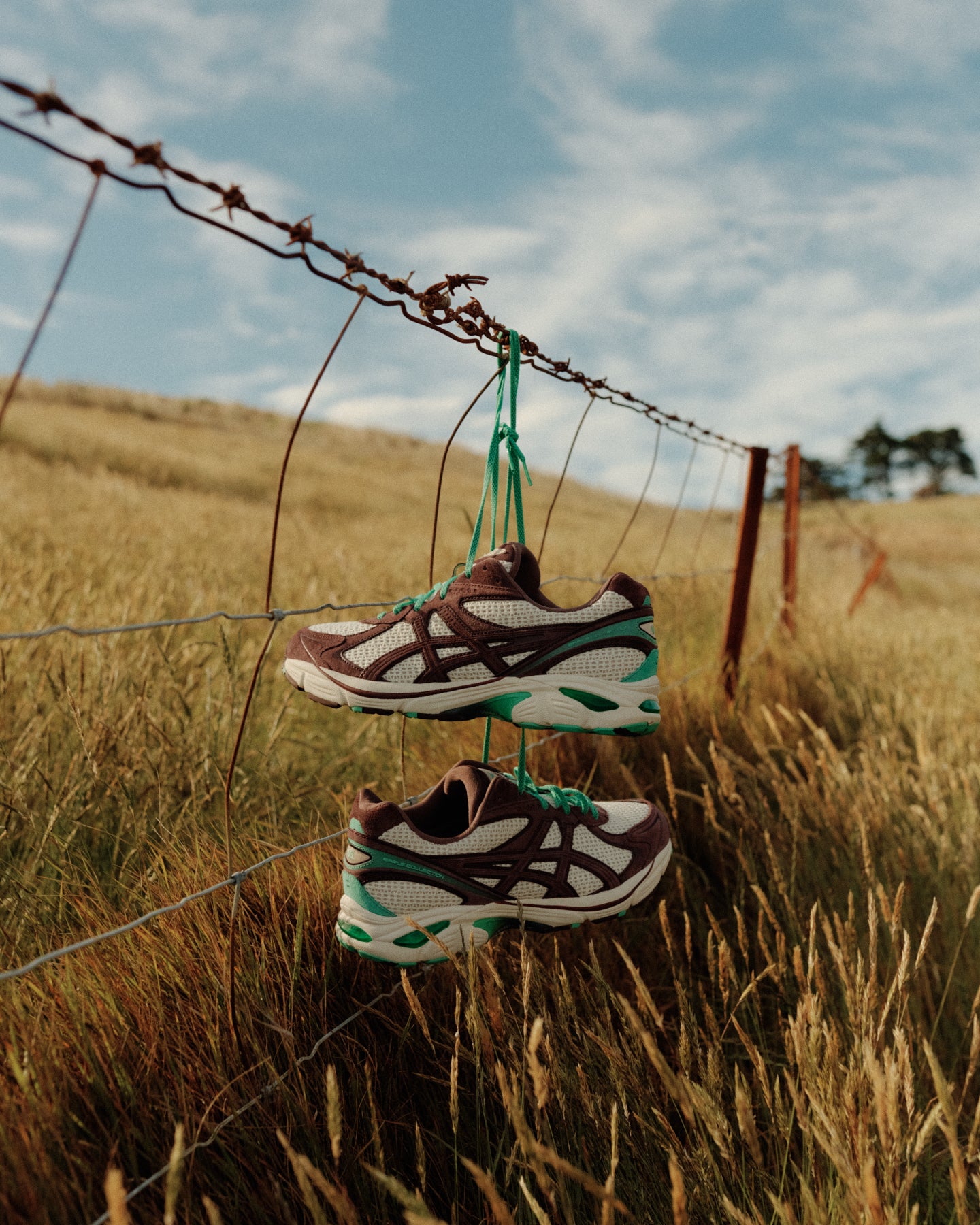 Earls x ASICS GT-2160