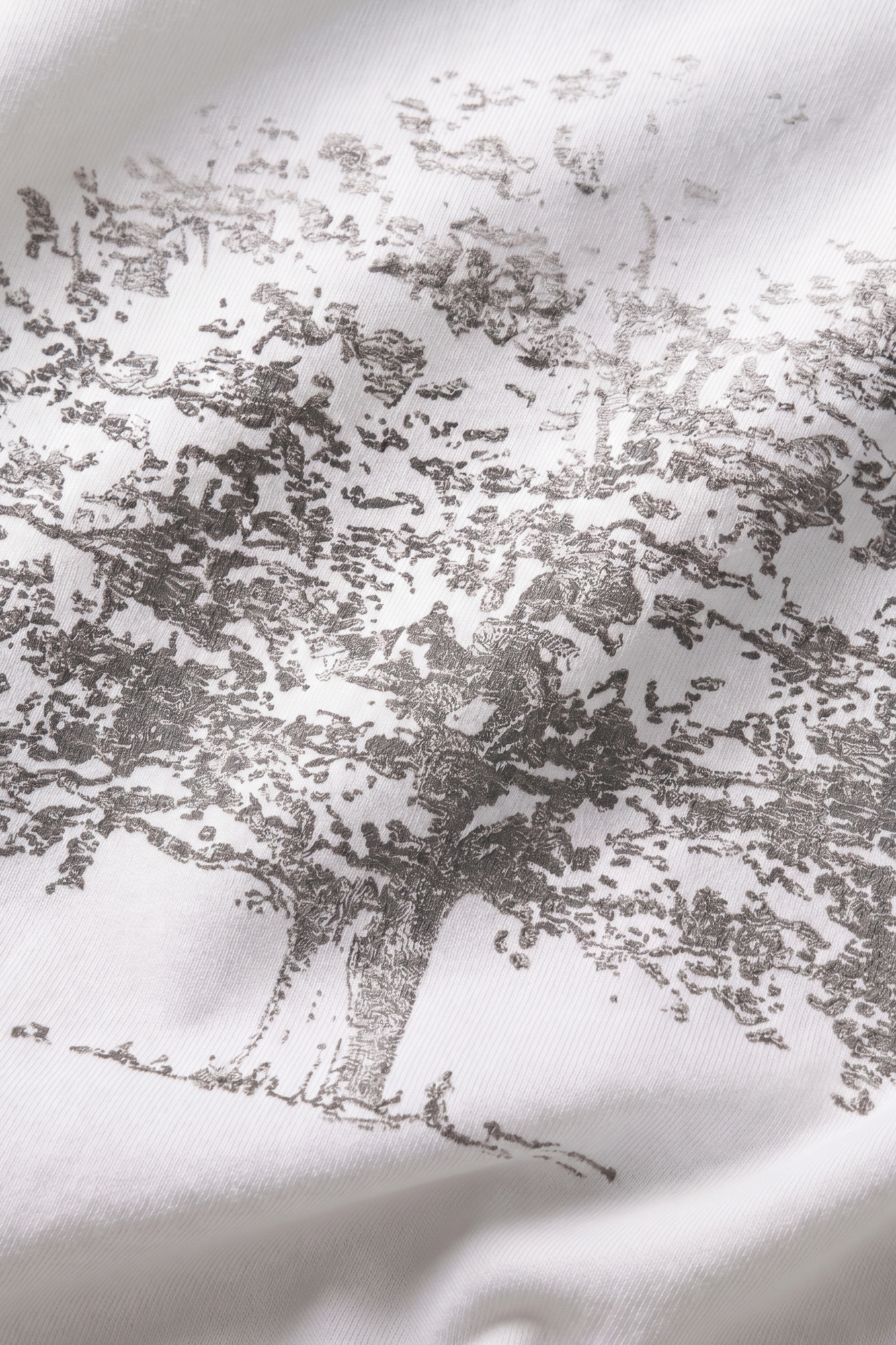 Family Tree L/S - White